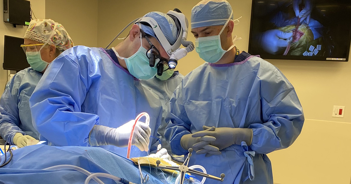 neurosurgeons operating